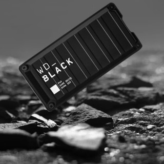 Western Digital 西部数据 WD BLACK P40 USB3.2Gen 移动固态硬盘 Type-C 1TB 黑色