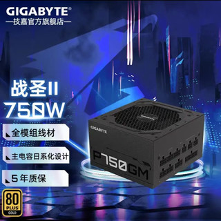 GIGABYTE 技嘉 台式机电脑主机电源P750GM 额定750W（80PLUS金牌全模）