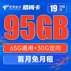 CHINA TELECOM 中国电信 腊梅卡 19元月租（65G通用流量+30G定向流量）激活送30话费