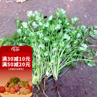 寿禾 shouhe 农家小叶香菜种子芫荽蔬莱籽种籽传统佐料型阳台四季播盆栽摩西香芹春秋冬季播种蔬菜种孑菜籽种苗 农家小叶香菜种子100g装+50g肥料