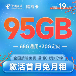 CHINA TELECOM 中国电信 腊梅卡 19元月租（65G通用流量+30G定向流量）激活送40