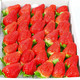 凉山草莓（JD空运）1斤13-18g