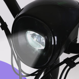 SUNRA 新日 电动自行车 TDT4960Z 48V12Ah铅酸电池 黑/油光黑