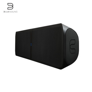 BLUESOUND SOUNDBAR 2i杜比电视回音壁 家庭影院 音箱套装 低音炮（黑色、官方标配）