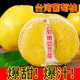 台湾黄金葡萄柚净重4.8斤单果300g起纯甜爆汁