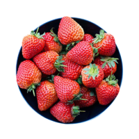 芬果时光 新鲜大凉山奶油草莓 1.5斤