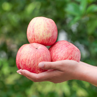 PLUS会员：乌岽山 正宗洛川苹果 2.5斤