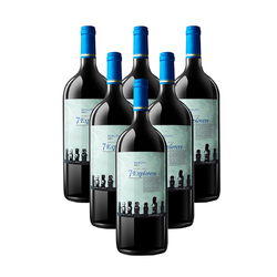 智利原装进口 7个人精选梅洛红葡萄酒 1500ml 13%Vol. 精选级 6瓶装 红酒
