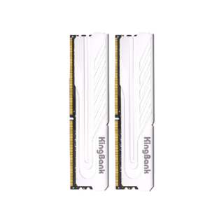 银爵系列 DDR5 5600MHz 台式机内存 马甲条 白色 32GB（16GB*2）