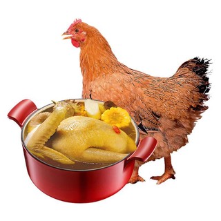 WENS 温氏 供港黄油鸡 1kg