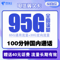 中国电信 翼久卡 29元月租（65G通用流量+30G定向流量+100分钟）长期套餐 可发北京