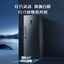 Hisense 海信 BD-252WVUT 立式冷冻柜 252升