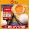 晋龙食品 晋龙新鲜鸡蛋40枚均重大于50g红心蛋一整箱