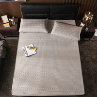 XANLENSSI 轩蓝仕 乳胶凉感席两件套 高雅灰 120*195cm