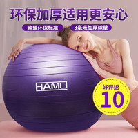 HAMU 哈莫 线下同款
瑜伽球防爆3mm加厚65cm大球HAMU哈莫塑型健身球儿童孕妇助产健身减肥瑞士球弹力球 宝石蓝 65CM