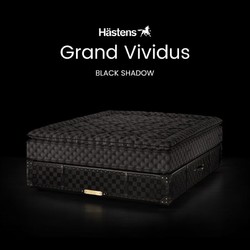 Hastens 海丝腾Grand Vividus手工缝制天然材质瑞典进口定制独立床 黑色印花 183*213cm