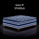 Hastens 海丝腾 Vividus 手工缝制天然材质瑞典进口定制独立床 蓝白印花 210*210cm