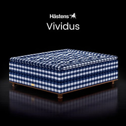 Hastens 海丝腾 Vividus 手工缝制天然材质瑞典进口定制独立床 蓝白印花 210*210cm