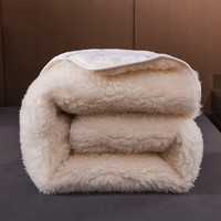 PLUS会员：兰序 加厚榻榻米羊毛褥子 150*200cm