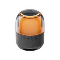 小度 XD-SSA01-2201 炫彩版 户外 智能音箱 灰色