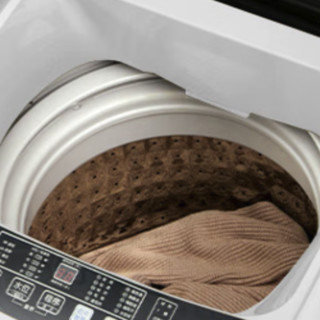 CHIGO 志高 XQB55-2010 定频波轮洗衣机 5.5kg 咖啡金