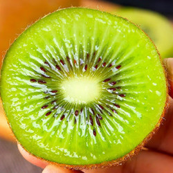 猕猴桃中果15枚装单果7090克