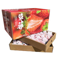 PLUS会员：大凉山奶油草莓 1斤一级大果(单果20g起)