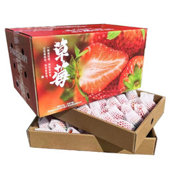 韶云山 大凉山奶油草莓 1斤大果(20-25g)