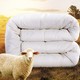 FUANNA 富安娜 羊毛冬被 51新西兰羊毛＋49抑菌纤维 1.2m