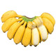 香蕉 广西小米蕉（净重9-9.5斤）带箱10斤
