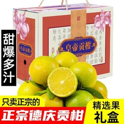 正宗广东德庆皇帝柑贡柑新鲜当季水果4.5/9斤礼盒装