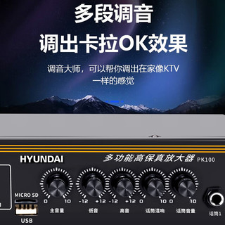 HYUNDAI/现代 家庭ktv音响套装 客厅电脑电视k歌卡拉ok重低音炮家庭影院蓝牙功放机音箱家用会议室话筒设备 5.5英寸KTV音响套装（双话筒）