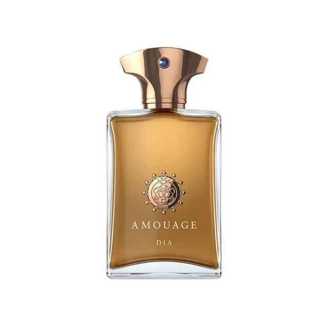 AMOUAGE 经典男香系列 迪亚男士浓香水 EDP