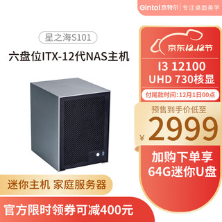 Gintol 京特尔 S101 十二代酷睿版 NAS存储服务器（酷睿i3-12100、8GB、256GB SSD）