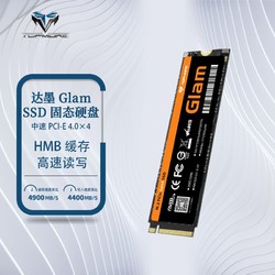 TOPMORE 达墨 Glam 固态硬盘4.0 NVMe M2 PCIe笔记本台式机TLC颗粒高速硬盘