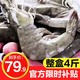 美苹 美萍水冻青岛大虾单只20至22厘米整盒4斤特大鲜活冷冻