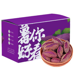 澳农卡 新鲜紫薯5斤单果100g起山东板栗地瓜小蜜番薯山芋