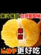 台湾黄金葡萄柚净重4.8斤单果320g起纯甜爆汁