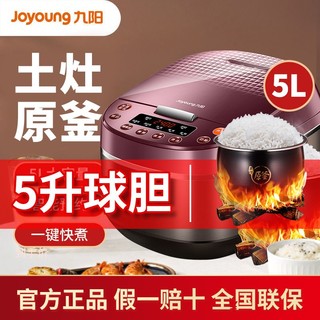 Joyoung 九阳 F-50FY813 电饭煲 5L