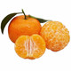 酷果汇  新鲜柑橘 砂糖橘   3斤
