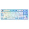 Akko 艾酷 5087S 玉桂狗联名款 87键 有线机械键盘 蓝白 CS水晶蓝轴 RGB