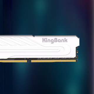 KINGBANK 金百达 银爵系列 DDR5 6000MHz 台式机内存 马甲条 白色 32GB 16GB*2 海力士M-die颗粒