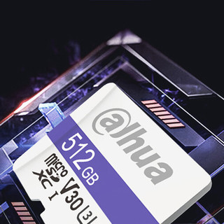 da hua 大华 C100系列 micro-SD存储卡 256GB（V30、U3、A1 、class10）