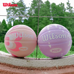 Wilson 威尔胜 官方MVP室外篮球5号 WZ3013301CN7