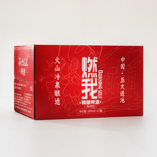 五大连池 燃我 精酿啤酒 500ml*12听