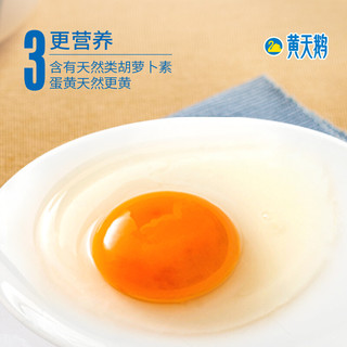 黄天鹅 达到日本可生食鸡蛋标准 30枚鲜鸡蛋 1.59kg/盒 定期购 健康轻食 不含沙门氏菌 实体年卡30枚*12盒