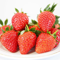PLUS会员：鑫久盈 丹东草莓99红颜奶油彩箱装 大果3斤（25-35g）