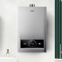 Haier 海尔 JSQ22-12MODEL(12T)U1 燃气热水器 12升