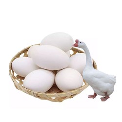 JINGDONG 京东 鹅蛋12枚 120g-140g 杂粮喂养 孕妇食材 农家散养土鹅蛋