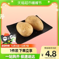 RT-Mart 大润发 土豆(称重) 约500g/份